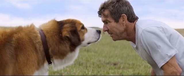 僕のワンダフル・ライフ