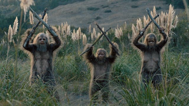 サスカッチ・サンセット